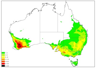 Over 100 Eucalypt Tree Species Newly Recommended For Threatened Listing 